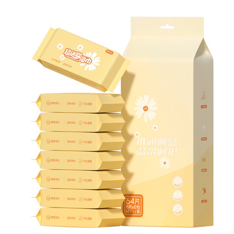 Travel Wipes Supplier - Biokleen Custom Free Sample 64ct Travel Wet Tissues Mini Sanitary Skin Care Wet Wipes