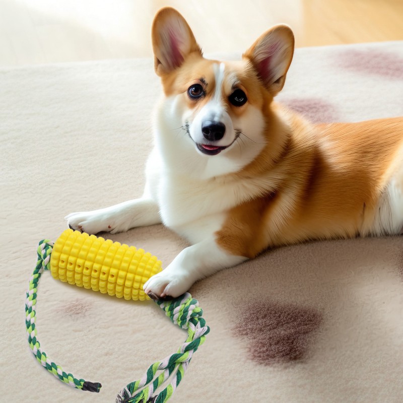 Dog Chew Toy Supplier - Corn Cob Shaped Grinding Stick