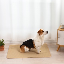 Pet Training Pad Manufacturer - Super Absorbent Waterproof