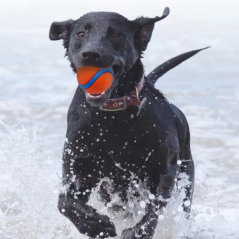 Outdoor Dog Toy Manufacturer - Durable Bite Resistant Rubber Ball