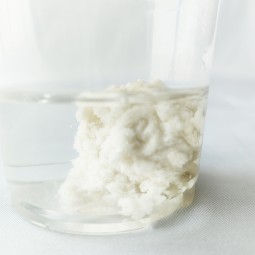 Tofu Cat Litter Wholesale - OEM 2kg 5kg 10kg Strip Shape Custom