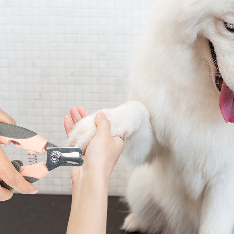 Pet Nail Scissors Factory - OEM Professional Grooming Tools