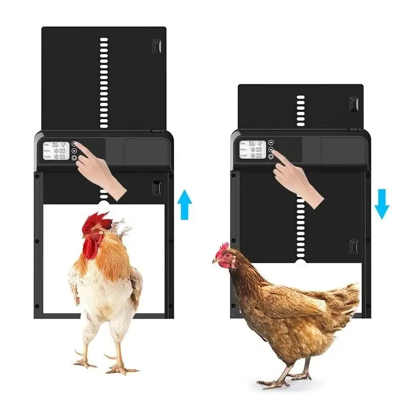 Chicken Coop Door Manufacturer - OEM Automatic Poultry Door