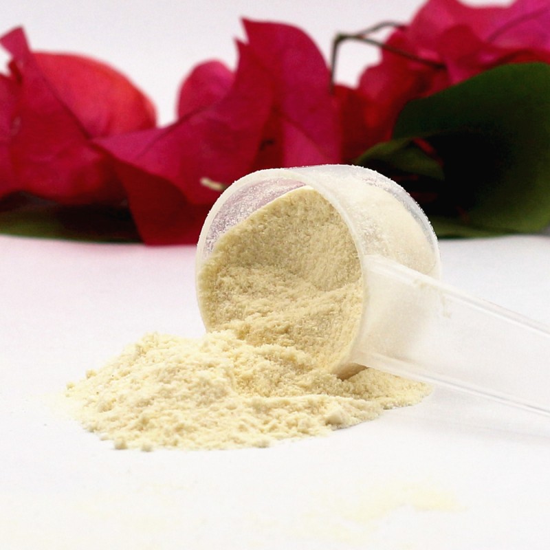 Whey Isolate Protein Powder Supplier - Hydrolyzed Amino Acids Body Building Supplement