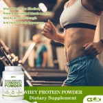 Protein Powder