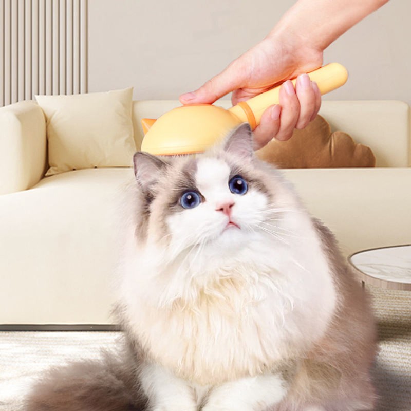 Cat Hair Brush Manufacturer - OEM Loose Hair Removal Grooming