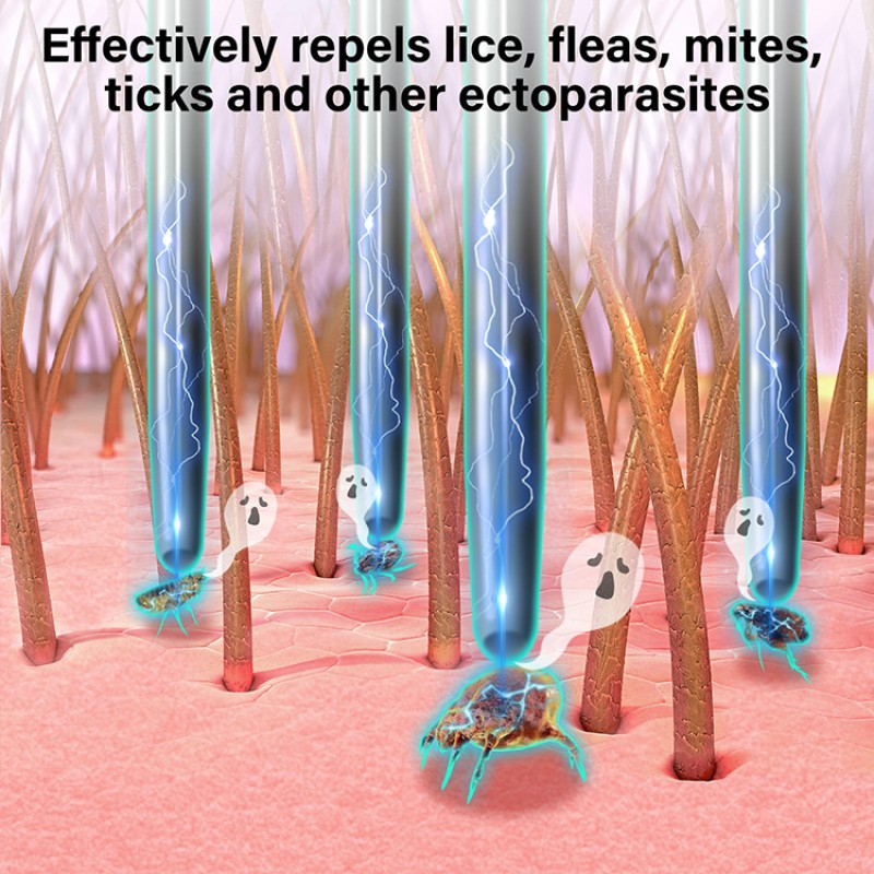 Electric Lice Comb Factory - OEM 2-in-1 Anti Flea Comb