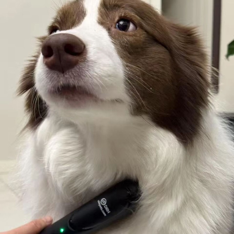 Electric Lice Comb Factory - OEM 2-in-1 Anti Flea Comb