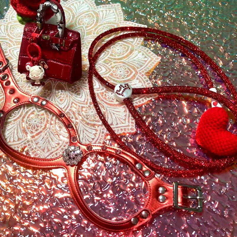 Dog Walking Rope Factory - OEM Rhinestone Reflective Lead