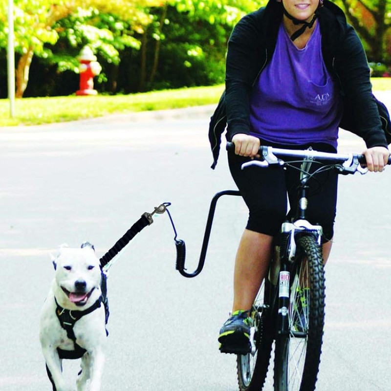 Bike Dog Leash Manufacturer - OEM Outdoor Training Walker