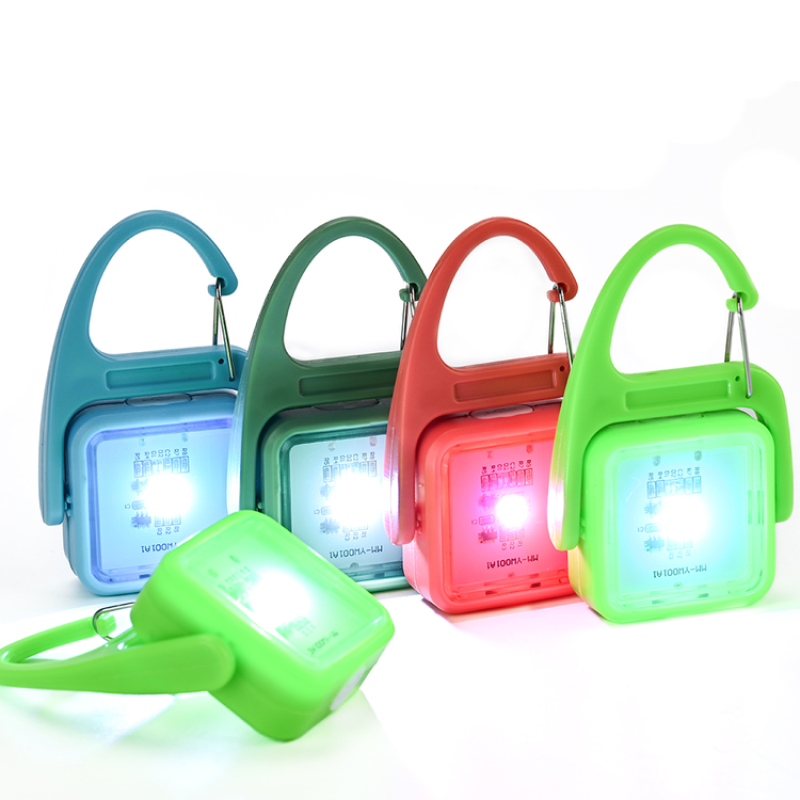 LED Pet Pendant Manufacturer - OEM 360 Rotating Type-C Charging