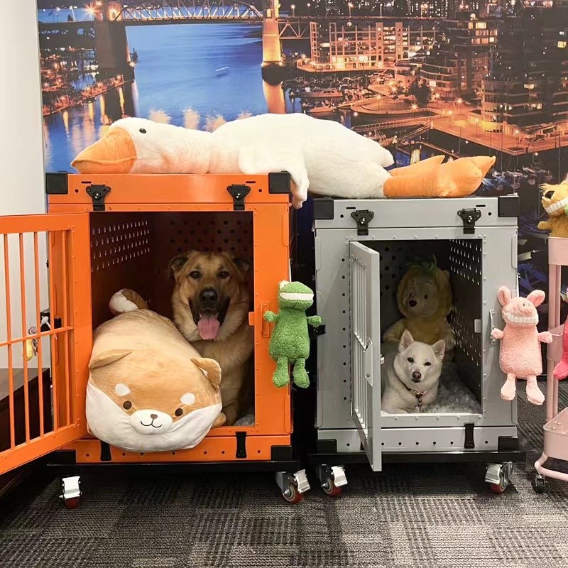 Metal Dog Crates Manufacturer - Black Folding Portable