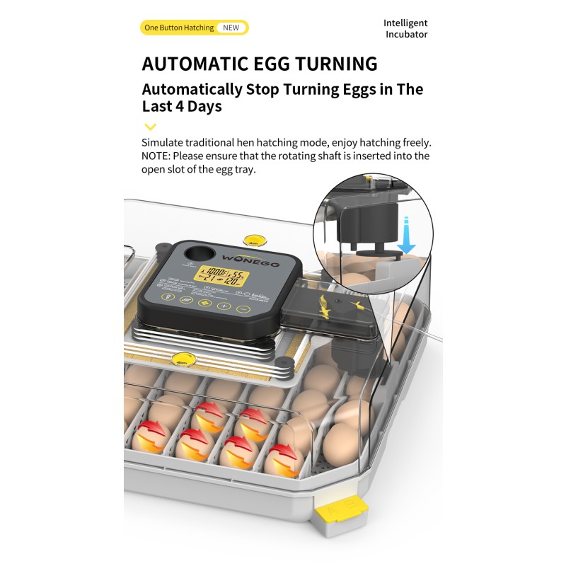 Incubator Jars Supplier - 48-Rotation Fan Humidity