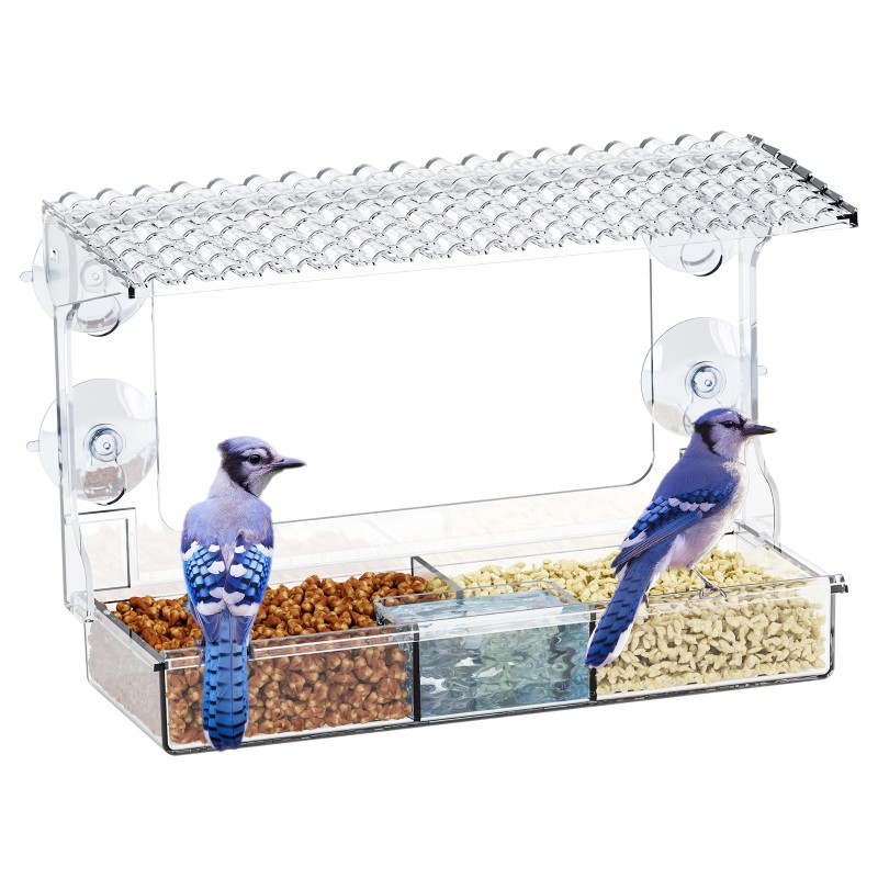 Window Bird Feeders Manufacturer - Plastic Suction Cup