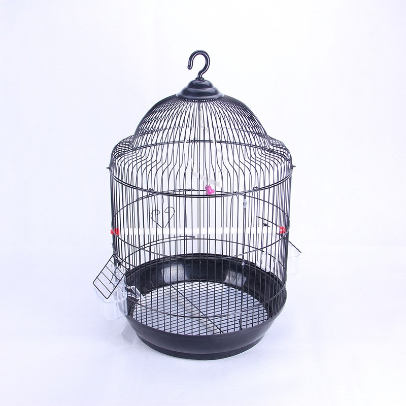 Custom Bird Cages Factory - Parrot Myna Breeding