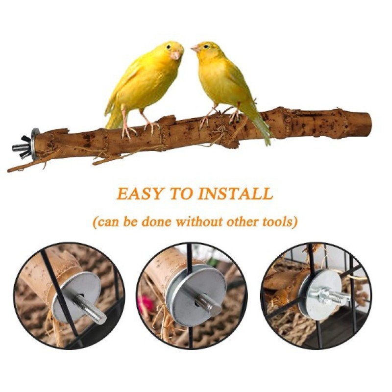 Bamboo Station Sticks Factory - Teeth Cleaning Decor