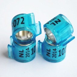 Racing Pigeon Bands Factory - Plastic Aluminum Custom