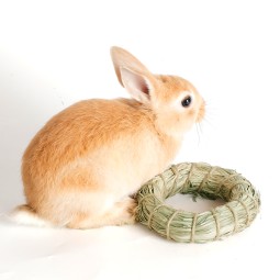Small Pet Toys Factory - Hand-woven Grass Ring