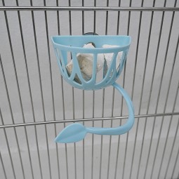 Bird Feeding Racks Supplier - Plastic Travel Toy