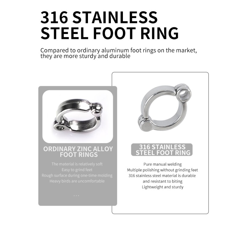 Parrot Anklets Supplier - Stainless Steel Medium
