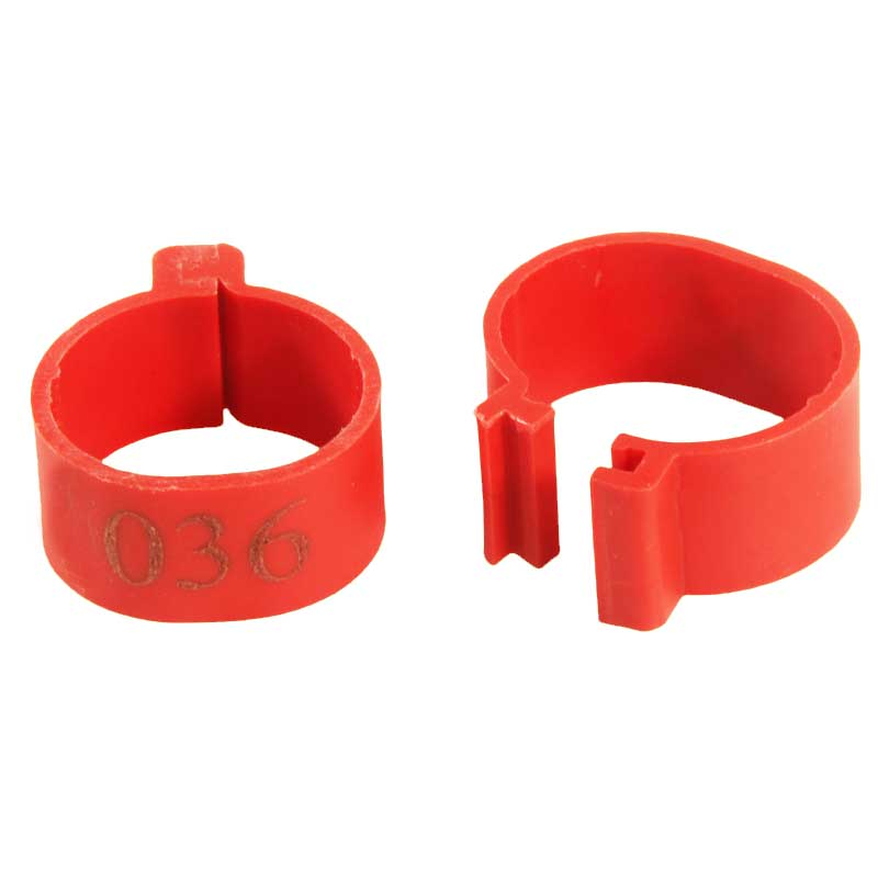 Poultry Leg Rings Supplier - Plastic Color Numbered