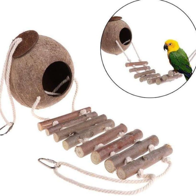 Coconut Bird Houses Manufacturer - Natural Shell Ladder