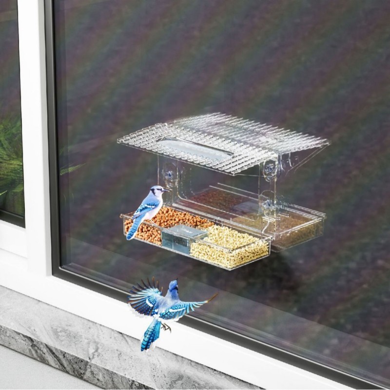 Window Bird Feeders Manufacturer - Plastic Suction Cup