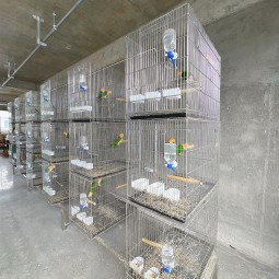 Bird Incubators Supplier - Stainless Steel Foldable