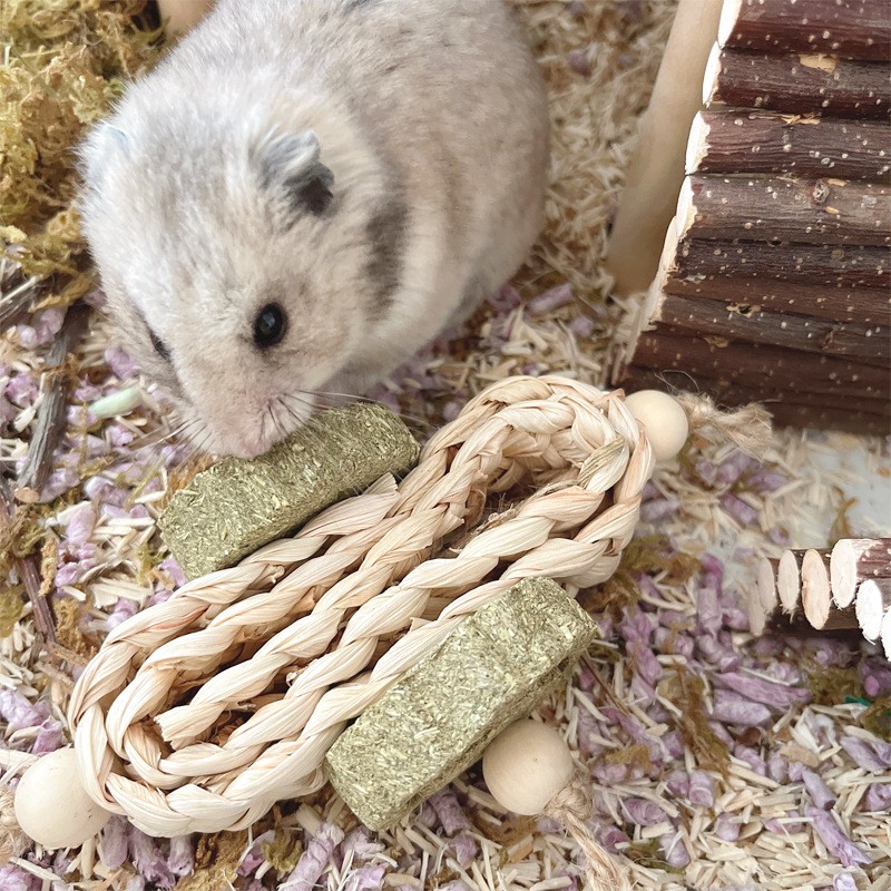 Hamster Chew Sticks Manufacturer - Natural Molar Small