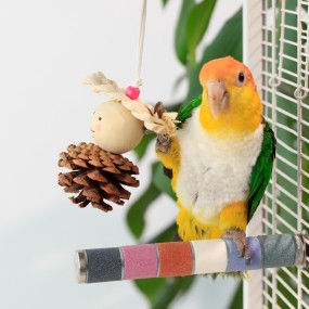 Pinecone Chew Toys Manufacturer - Rubber Cotton Wood