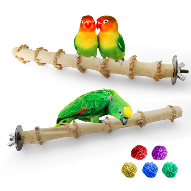 Bamboo Station Sticks Factory - Teeth Cleaning Decor