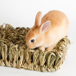 Woven Mats Supplier - Breathable Warm Rabbit