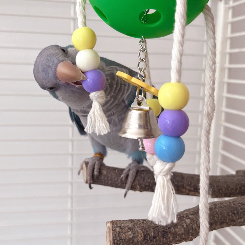 Interstellar Ball Toys Supplier - Chewable String Educational