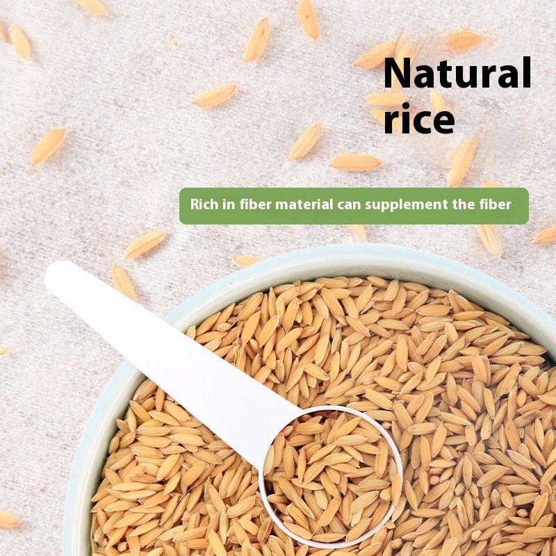 Bird Seed Supplier - Wholesale Pigeon Seeds