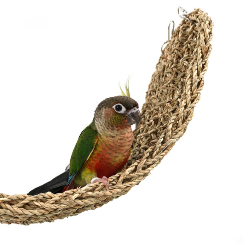 Grass Net Toys Factory - Parrot Climbing Ladders