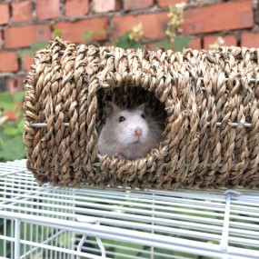 Grass Tunnels Supplier - Hand Made Climbing