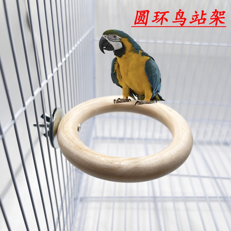 Natural Wood Perches Supplier - Circle Branch Stand