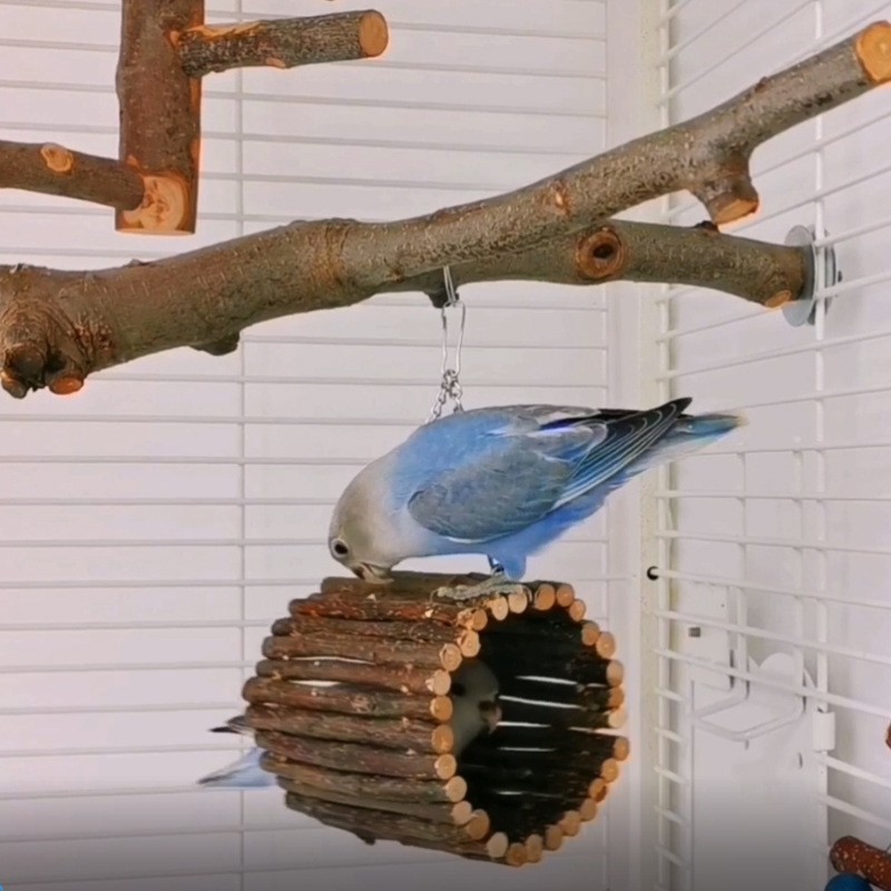 Bird Swings Factory - Wooden Toy Log Color