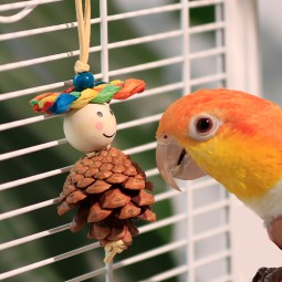 Wood Chew Toys Supplier - Colorful Pine Corn