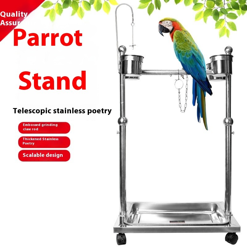 Bird Stands Factory - Stainless Steel Rest
