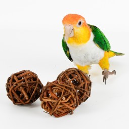 Willow Chew Balls Manufacturer - Small Pets Natural