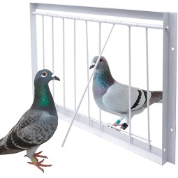Pigeon Traps Factory - Metal Encrypted Door