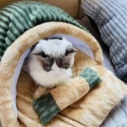 Cat Bed Factory - OEM Semi Closed Slipper Removable