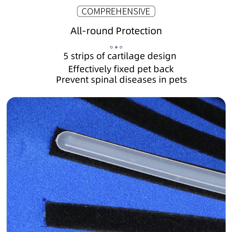 Dog Support Clothing Manufacturer - OEM Spinal Light Strip