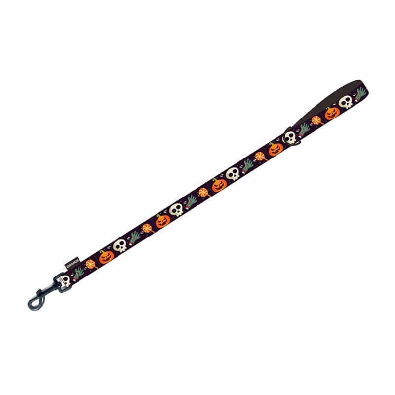 Pet Costume Set Manufacturer - OEM Halloween Collar Leash