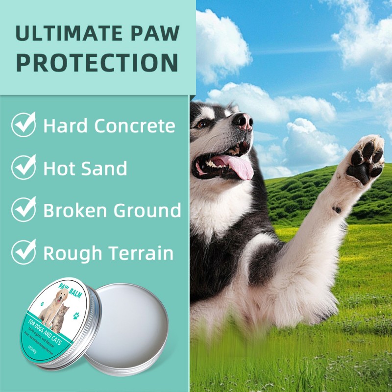 Pet Paw Cream Manufacturer - OEM Anti-Cracking Foot Care