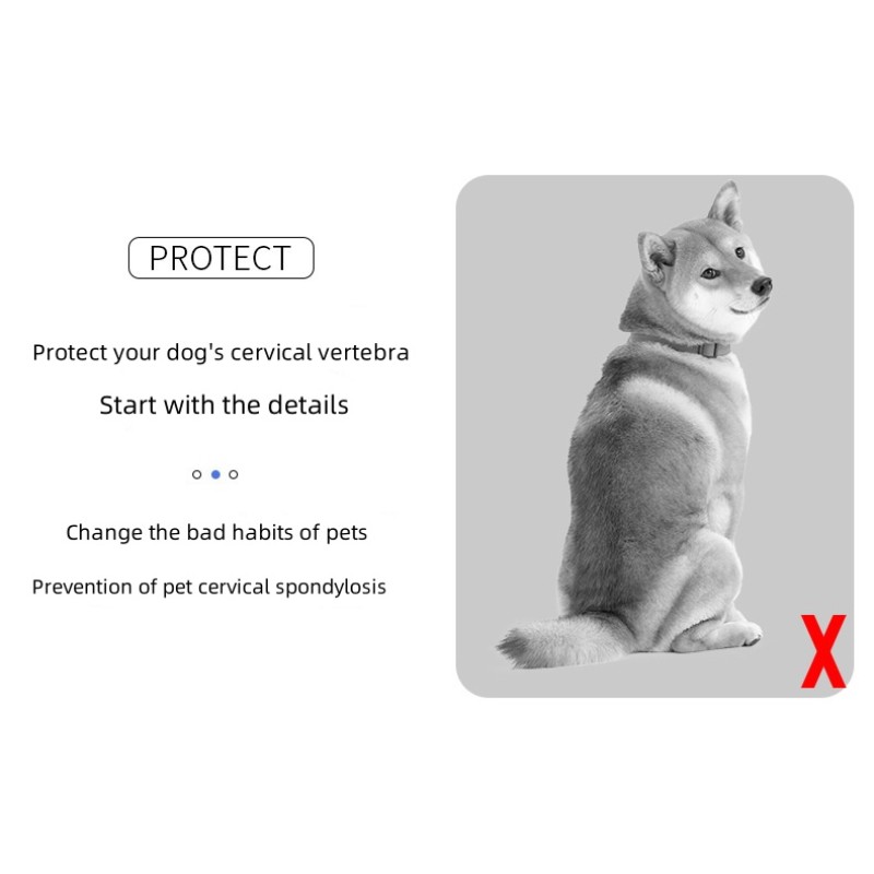 Dog Support Clothing Manufacturer - OEM Spinal Light Strip