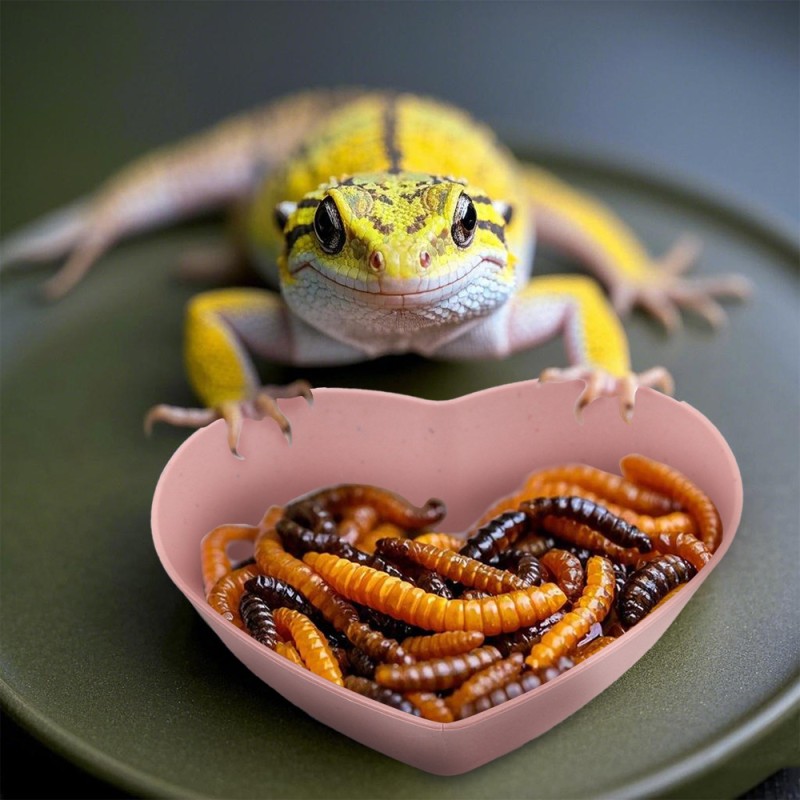 Small Animal Bowl Factory - OEM Heart Shape Anti-Spreader Food