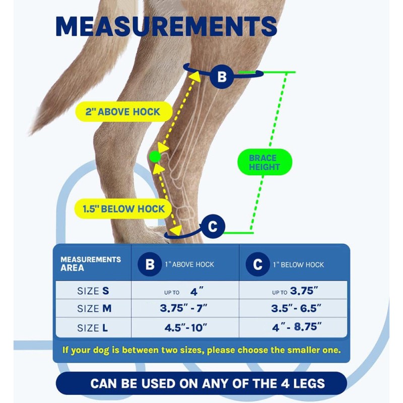 Dog Leg Strap Factory - OEM Hind Leg Surgery Support