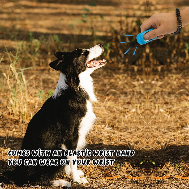 Dog Whistle Manufacturer - OEM Steel Animal Behavior Training